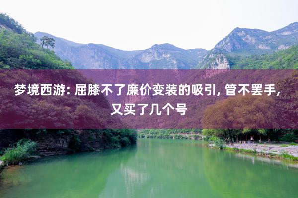 梦境西游: 屈膝不了廉价变装的吸引, 管不罢手, 又买了几个号