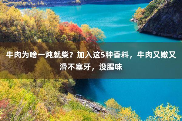 牛肉为啥一炖就柴？加入这5种香料，牛肉又嫩又滑不塞牙，没腥味