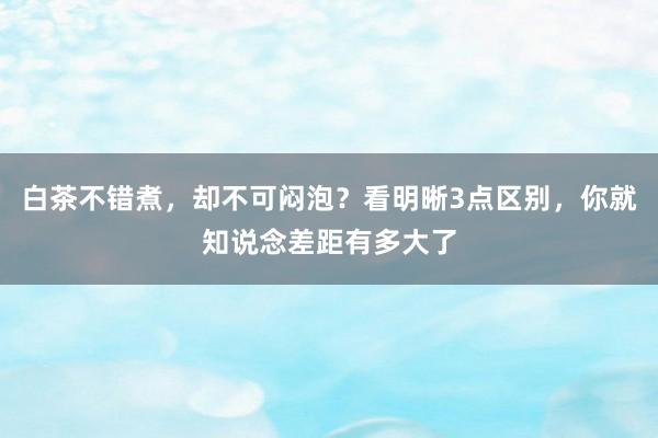 白茶不错煮，却不可闷泡？看明晰3点区别，你就知说念差距有多大了