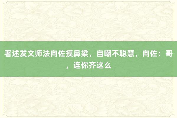 著述发文师法向佐摸鼻梁，自嘲不聪慧，向佐：哥，连你齐这么