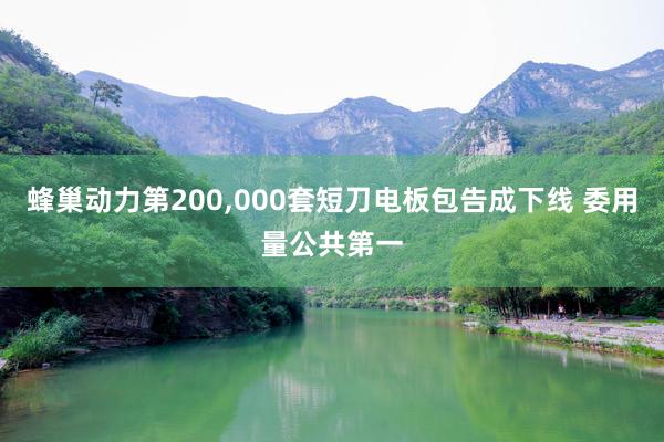 蜂巢动力第200,000套短刀电板包告成下线 委用量公共第一