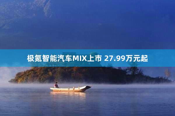 极氪智能汽车MIX上市 27.99万元起