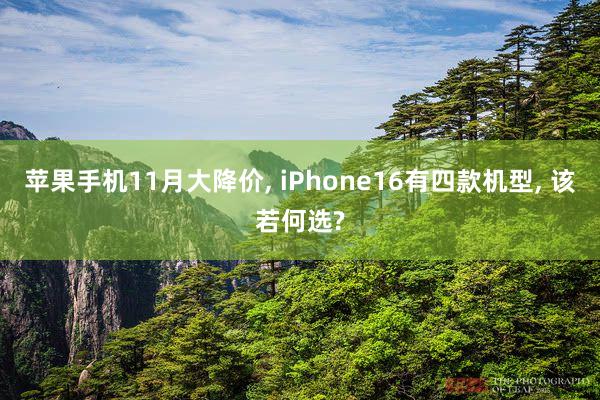 苹果手机11月大降价, iPhone16有四款机型, 该若何选?