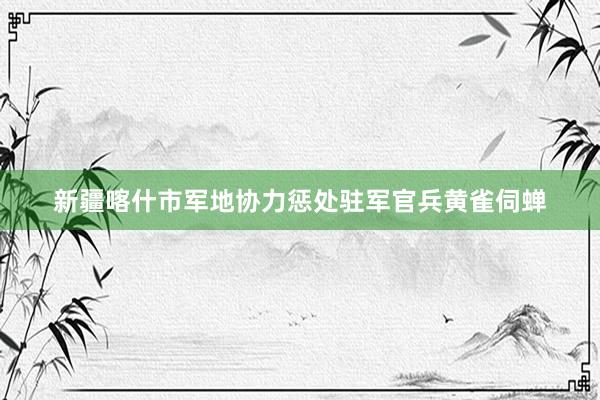 新疆喀什市军地协力惩处驻军官兵黄雀伺蝉